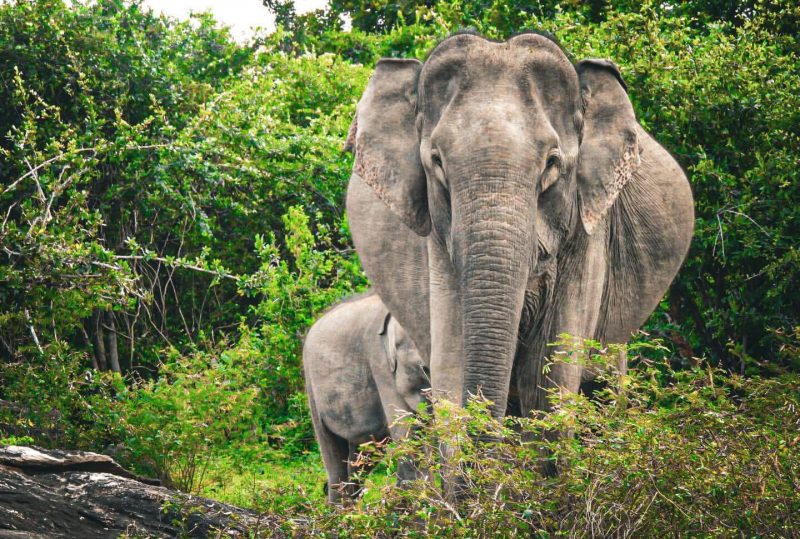 WhatsApp Image 2025-07-26 at 4.11.23 PM(3)